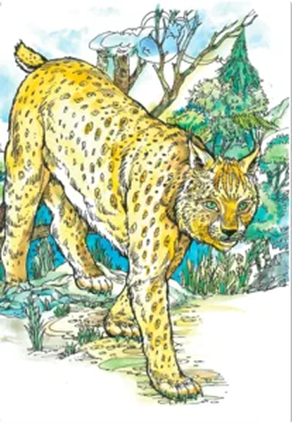 Персонализиран Производ 6