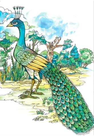 Персонализиран Производ 7